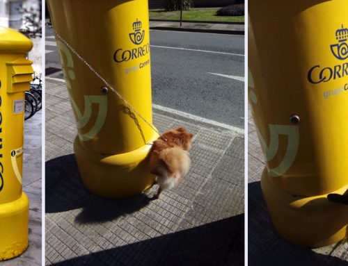 Buzones de correos libres de pintadas, óxido y orines